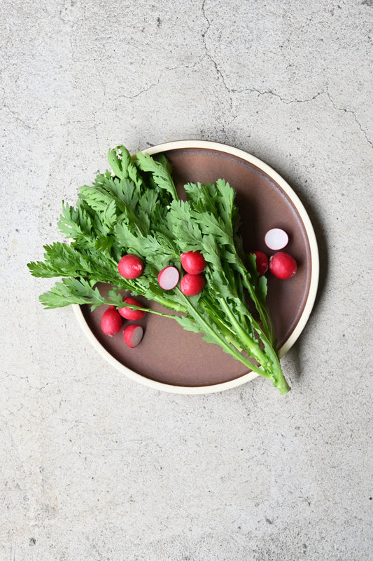 Flat plate / tarte size L / red brown