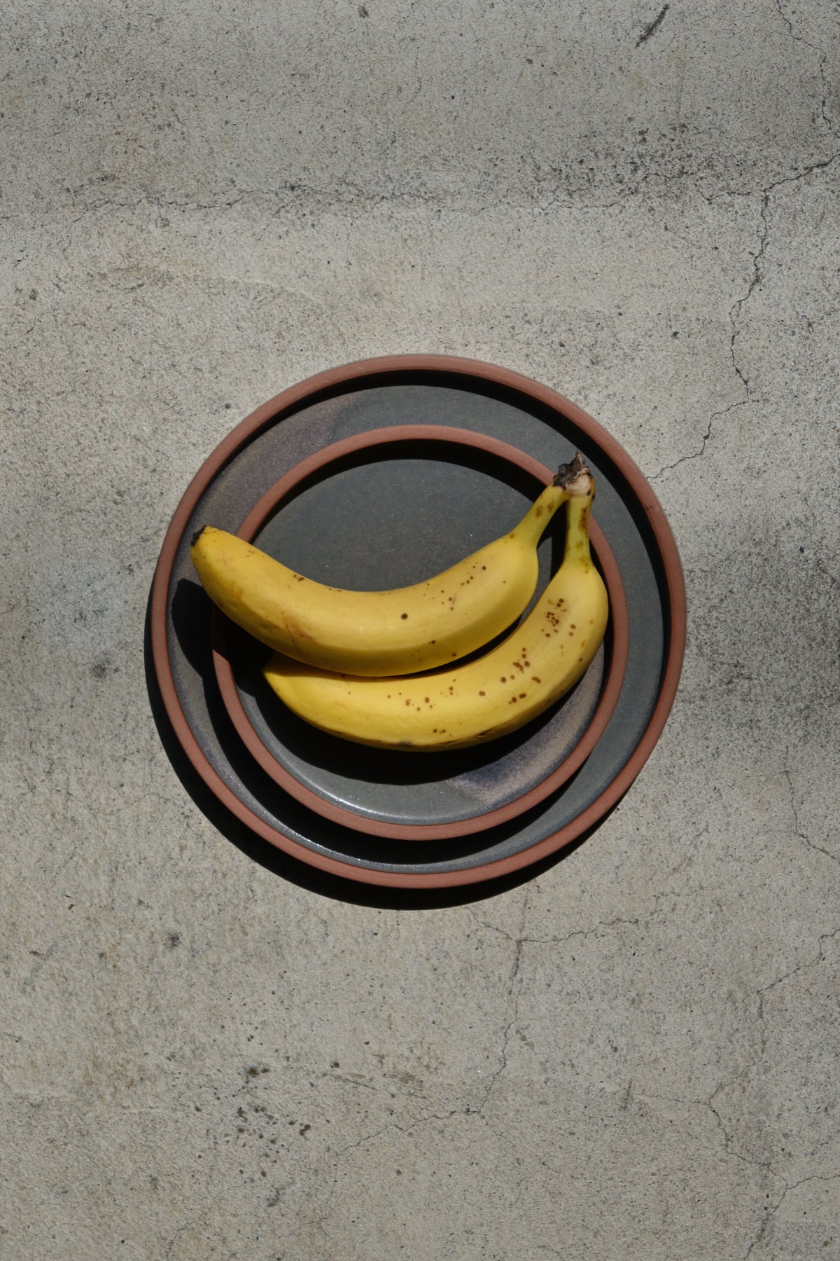 Flat plate / tarte size M / khaki